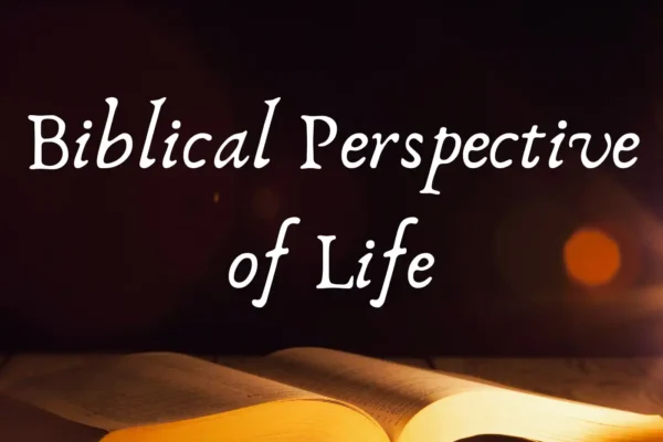 Biblical perspective of life
