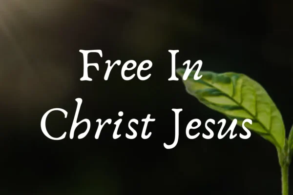 free in Christ Jesus