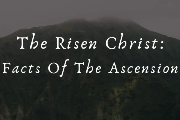The risen Christ: Facts of the ascension